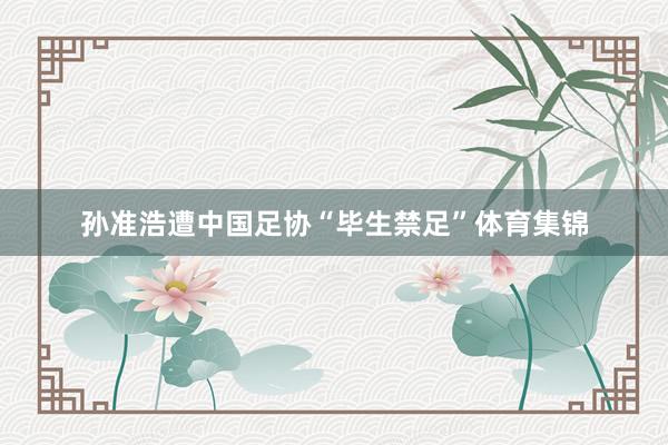孙准浩遭中国足协“毕生禁足”体育集锦
