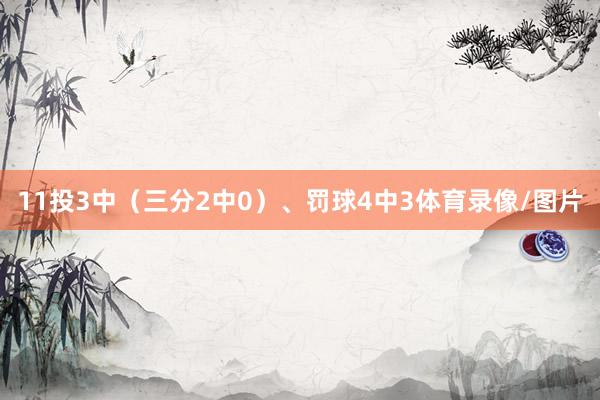 11投3中（三分2中0）、罚球4中3体育录像/图片