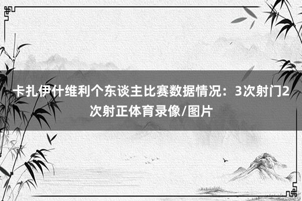 卡扎伊什维利个东谈主比赛数据情况：3次射门2次射正体育录像/图片