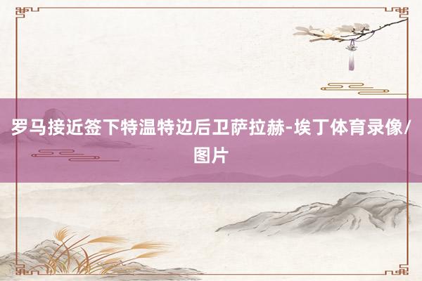 罗马接近签下特温特边后卫萨拉赫-埃丁体育录像/图片