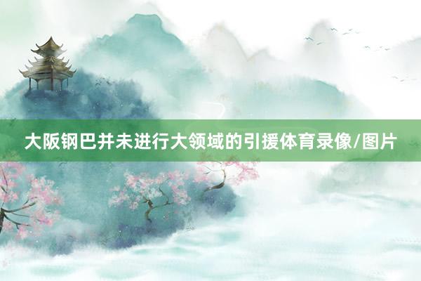 大阪钢巴并未进行大领域的引援体育录像/图片