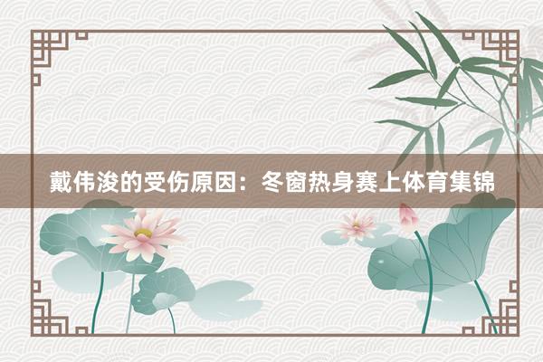 戴伟浚的受伤原因：冬窗热身赛上体育集锦