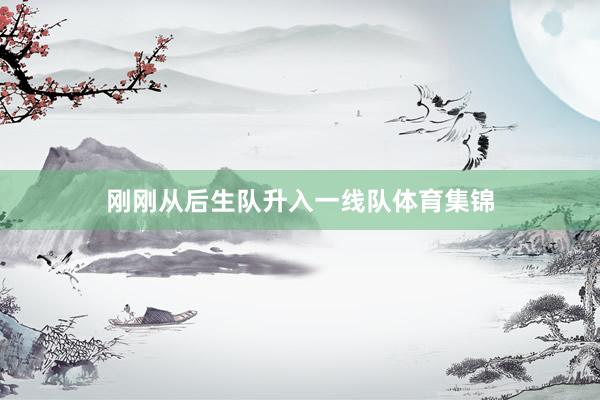 刚刚从后生队升入一线队体育集锦
