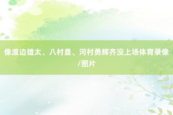 像渡边雄太、八村塁、河村勇辉齐没上场体育录像/图片