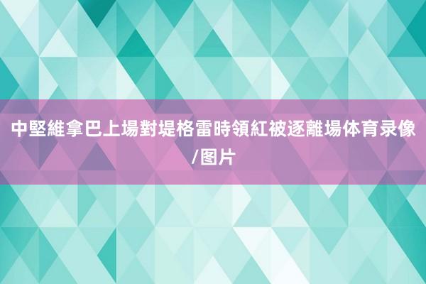 中堅維拿巴上場對堤格雷時領紅被逐離場体育录像/图片