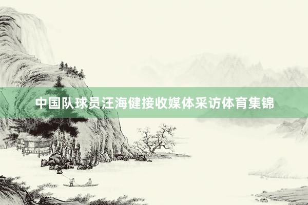 中国队球员汪海健接收媒体采访体育集锦