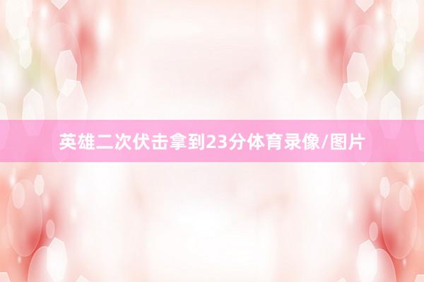 英雄二次伏击拿到23分体育录像/图片