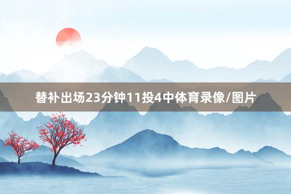 替补出场23分钟11投4中体育录像/图片