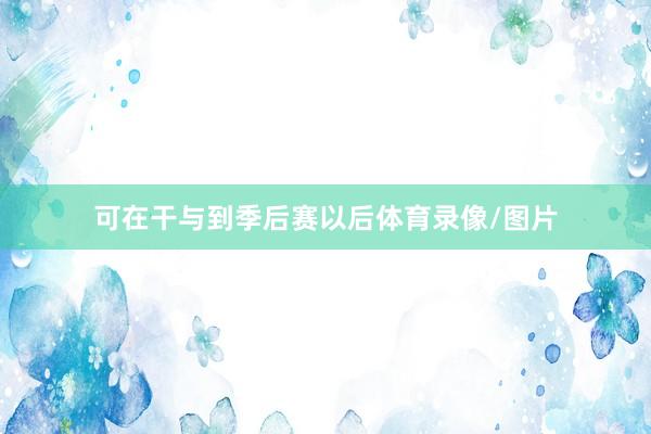 可在干与到季后赛以后体育录像/图片