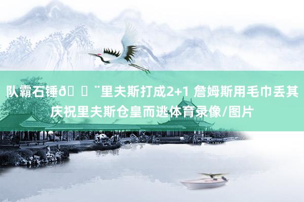 队霸石锤🔨里夫斯打成2+1 詹姆斯用毛巾丢其庆祝里夫斯仓皇而逃体育录像/图片