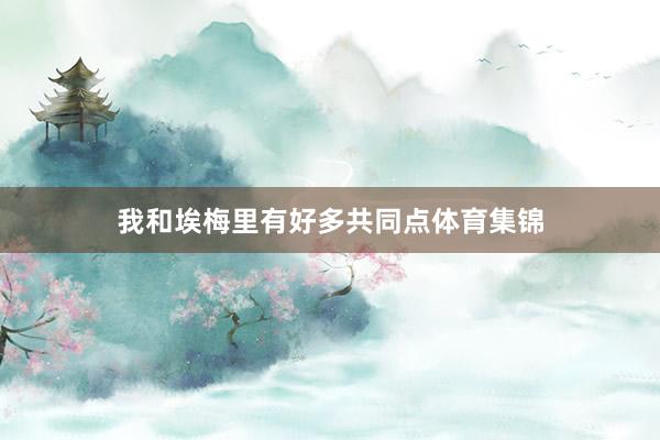 我和埃梅里有好多共同点体育集锦