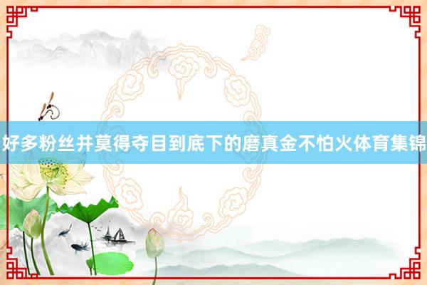 好多粉丝并莫得夺目到底下的磨真金不怕火体育集锦