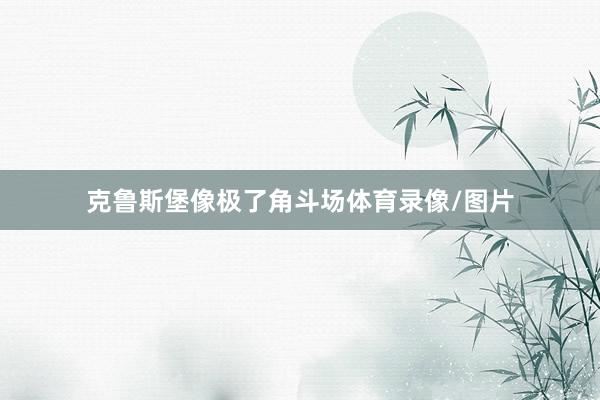 克鲁斯堡像极了角斗场体育录像/图片