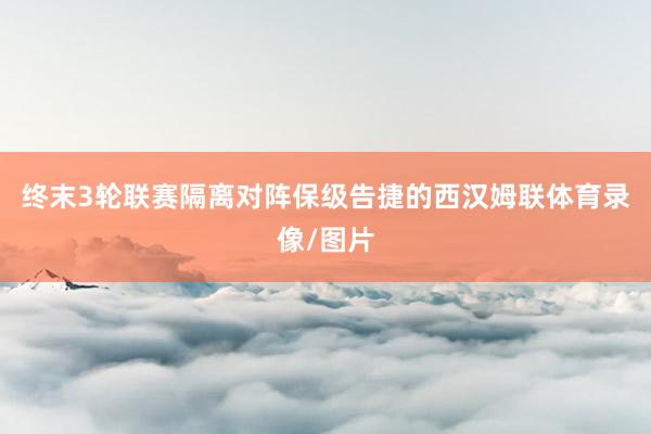 终末3轮联赛隔离对阵保级告捷的西汉姆联体育录像/图片