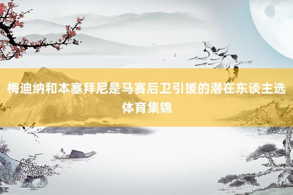 梅迪纳和本塞拜尼是马赛后卫引援的潜在东谈主选体育集锦