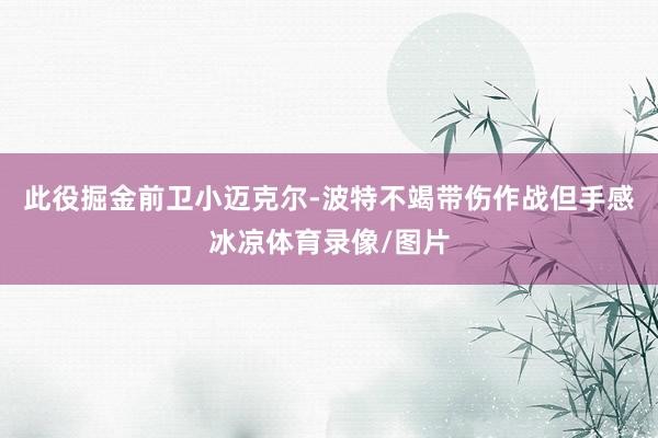 此役掘金前卫小迈克尔-波特不竭带伤作战但手感冰凉体育录像/图片