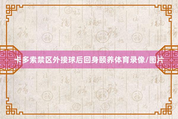 卡多索禁区外接球后回身颐养体育录像/图片