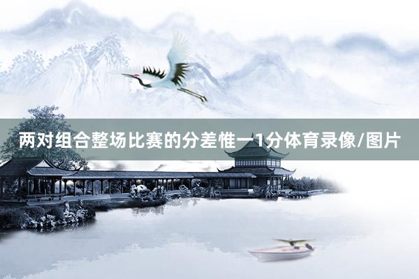两对组合整场比赛的分差惟一1分体育录像/图片