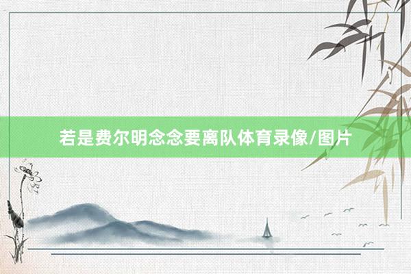 若是费尔明念念要离队体育录像/图片