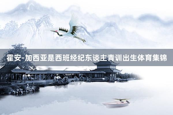 霍安-加西亚是西班经纪东谈主青训出生体育集锦
