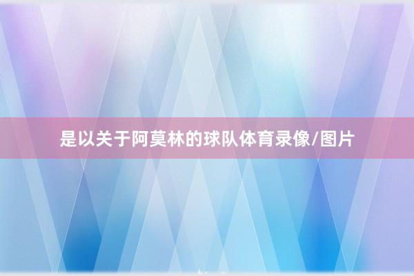 是以关于阿莫林的球队体育录像/图片