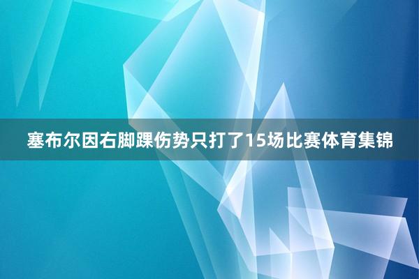 塞布尔因右脚踝伤势只打了15场比赛体育集锦