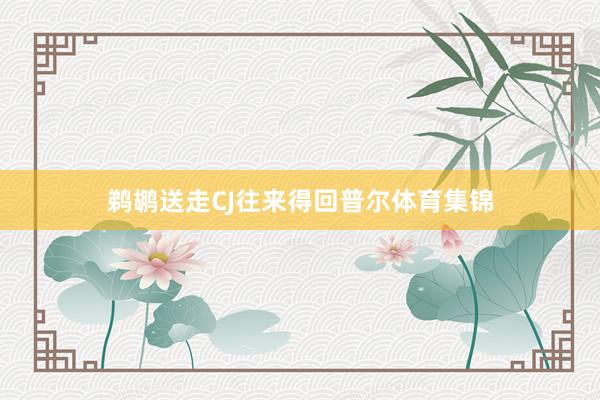 鹈鹕送走CJ往来得回普尔体育集锦