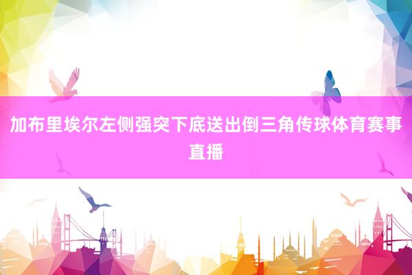 加布里埃尔左侧强突下底送出倒三角传球体育赛事直播