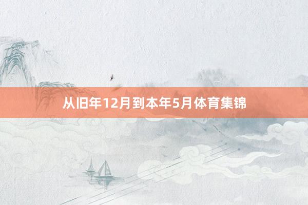 从旧年12月到本年5月体育集锦