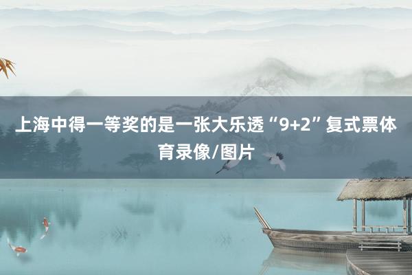 上海中得一等奖的是一张大乐透“9+2”复式票体育录像/图片