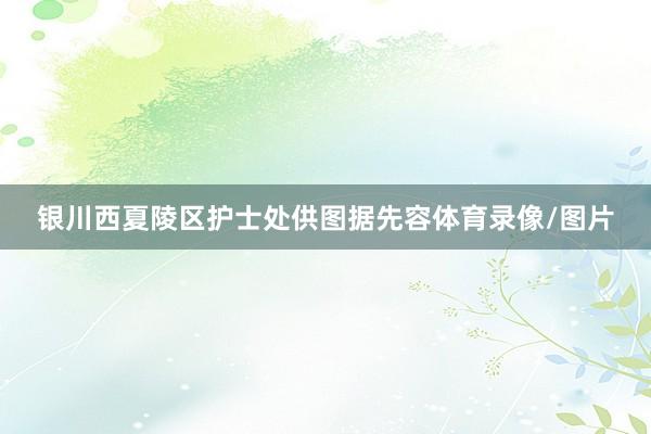 银川西夏陵区护士处供图据先容体育录像/图片