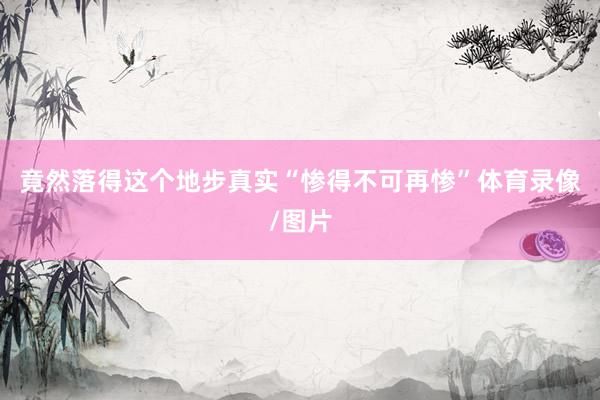 竟然落得这个地步真实“惨得不可再惨”体育录像/图片