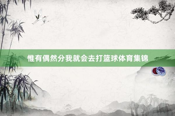 惟有偶然分我就会去打篮球体育集锦