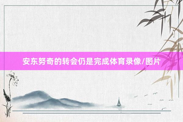 安东努奇的转会仍是完成体育录像/图片