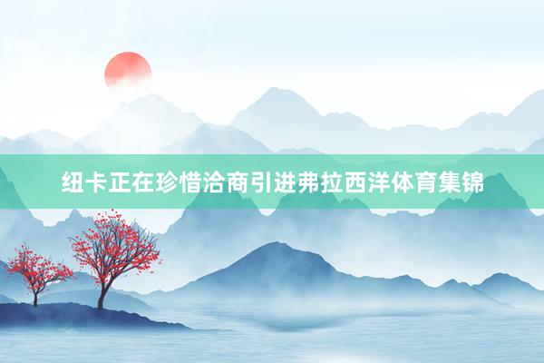 纽卡正在珍惜洽商引进弗拉西洋体育集锦
