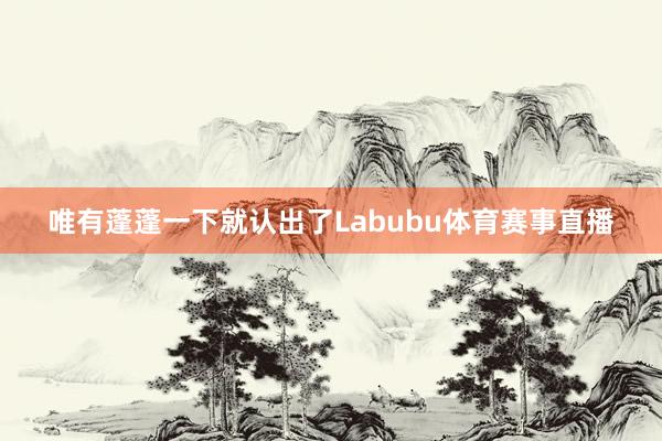 唯有蓬蓬一下就认出了Labubu体育赛事直播