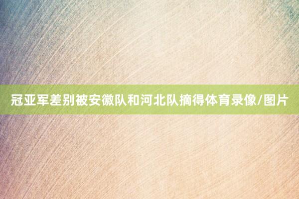 冠亚军差别被安徽队和河北队摘得体育录像/图片