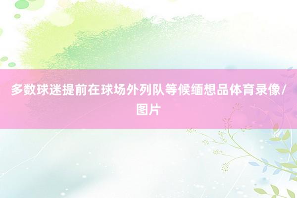 多数球迷提前在球场外列队等候缅想品体育录像/图片