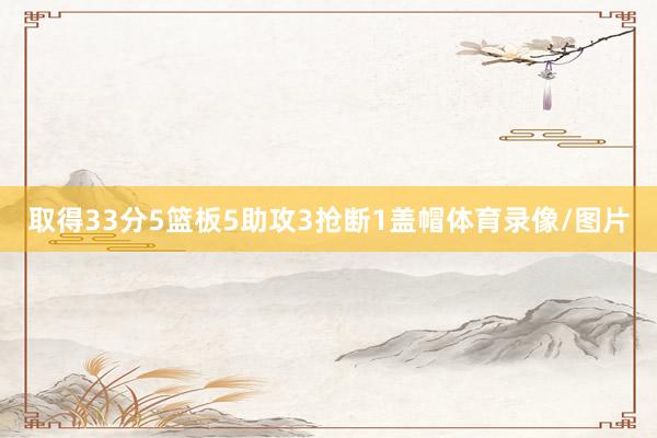 取得33分5篮板5助攻3抢断1盖帽体育录像/图片