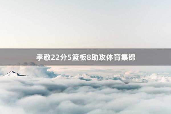 孝敬22分5篮板8助攻体育集锦