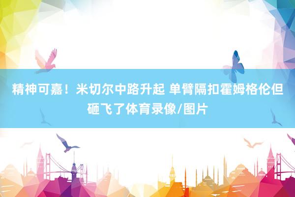 精神可嘉！米切尔中路升起 单臂隔扣霍姆格伦但砸飞了体育录像/图片