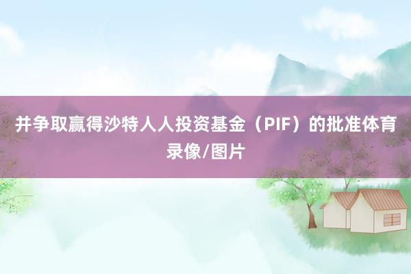 并争取赢得沙特人人投资基金（PIF）的批准体育录像/图片