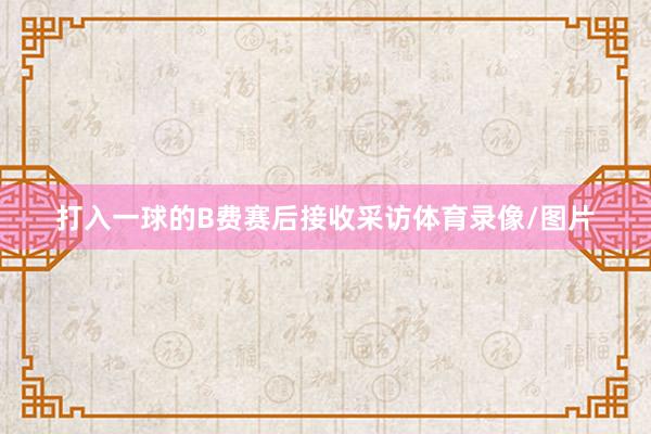打入一球的B费赛后接收采访体育录像/图片