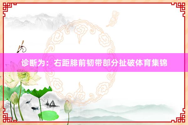 诊断为:右距腓前韧带部分扯破体育集锦
