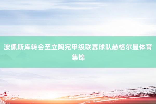 波佩斯库转会至立陶宛甲级联赛球队赫格尔曼体育集锦
