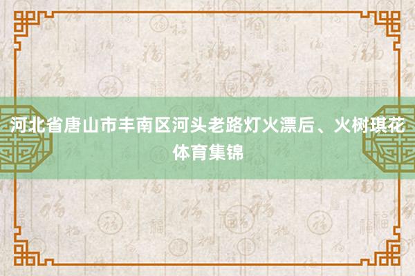 河北省唐山市丰南区河头老路灯火漂后、火树琪花体育集锦