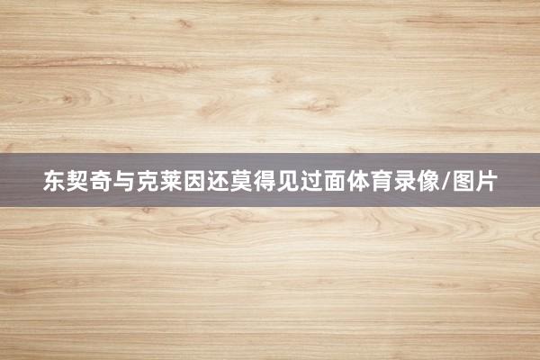 东契奇与克莱因还莫得见过面体育录像/图片