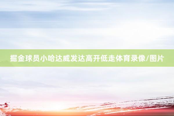 掘金球员小哈达威发达高开低走体育录像/图片
