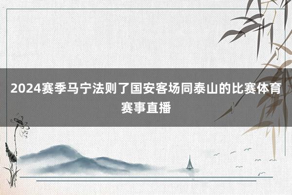 2024赛季马宁法则了国安客场同泰山的比赛体育赛事直播