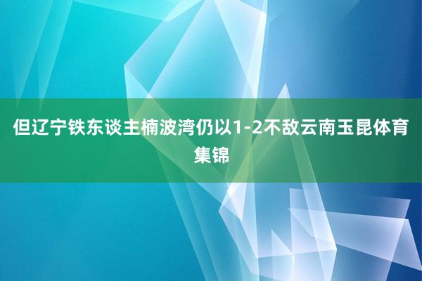 但辽宁铁东谈主楠波湾仍以1-2不敌云南玉昆体育集锦